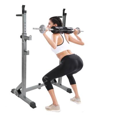 Are you looking for the best exercise equipment