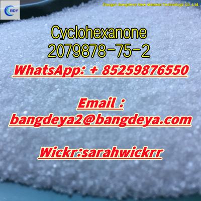 CAS 2079878-75-2 2-(2-Chlorophenyl)-2-nitrocyclohexanone with good price