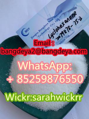 CAS 2079878-75-2 2-(2-Chlorophenyl)-2-nitrocyclohexanone with good price