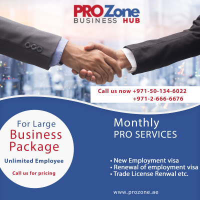 PRO Services by PRO Zone Business Hub