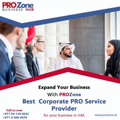 PRO Services by PRO Zone Business Hub