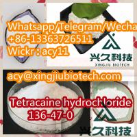 Factory Supply Tetracaine hydrochloride CAS 136-47-0  with Best Price