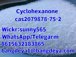 Cyclohexanone CAS2079878-75-2