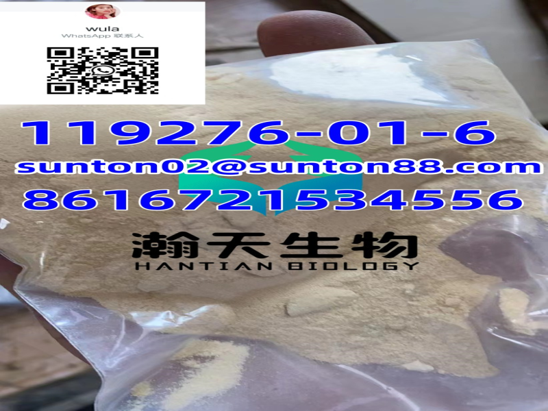 CAS:119276-01-6 Protonitazene Hydrochloride Factory supply.
