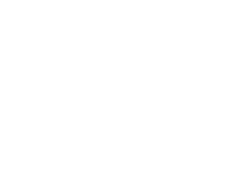 Redspider Web & Art Design Agency