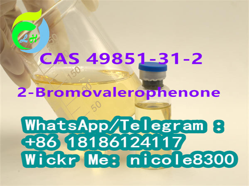 2-Bromovalerophenone yellow liquid 99% CAS 49851-31-2