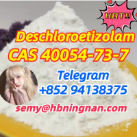 40054-73-7 good quality and good price Deschloroetizolam