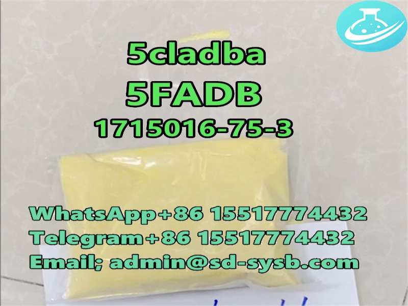 CAS 1715016-75-3 5fadb	with best quality	D1