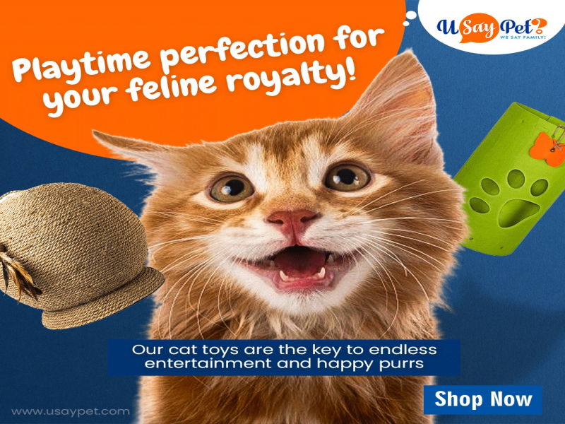 Buy Cat  Accessories Online in Dubai - U Say Pet