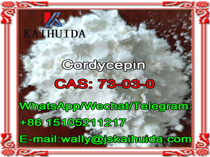 China Manufacture 99% Purity CAS 73-03-0,Cordycepin with Fast Delivery in stock