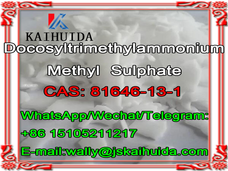 China Manufacture 99% Purity CAS 81646-13-1, Docosyltrimethylammonium Methyl Sulphate