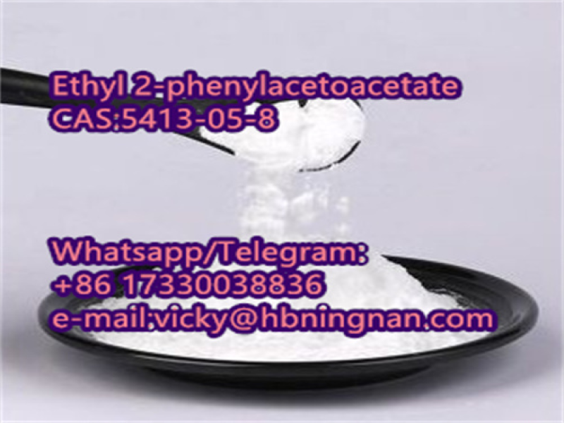 Direct Selling High Purity Ethyl 2-phenylacetoacetate 99% Powder CAS:5413-05-8 Ningnan