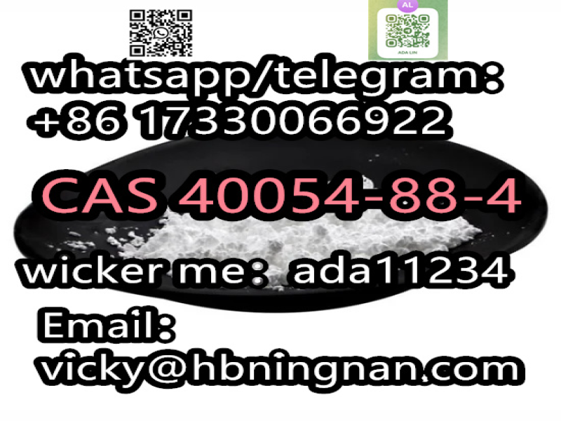 Direct Selling High Purity CAS40054-88-4 in stock