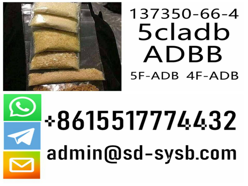 5cladb/5cl-adb-a/5cladba cas 137350-66-4	Hot sale in Europe and America	Good quality and good price