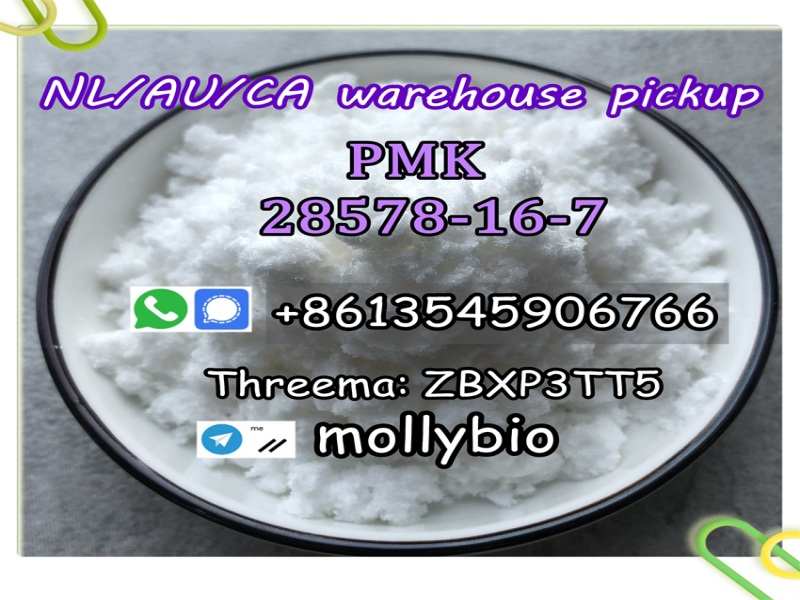 Poland warehouse new bmk pmk powder/oil Cas 28578-16-7/5449-12-7  safe deliver Telegram: mollybio