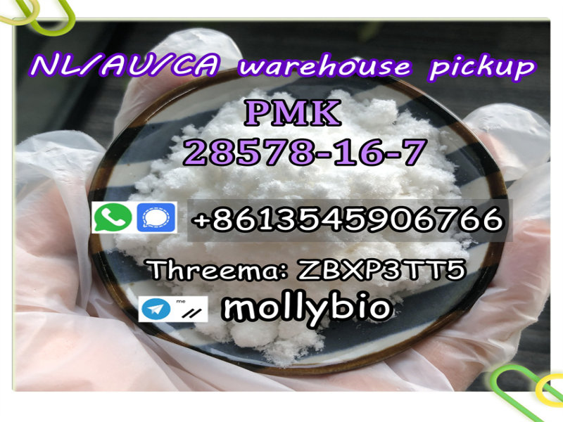 Top yield white pmk powder bmk powder,pmk oil Cas 28578-16-7/5449-12-7 Telegram: mollybio