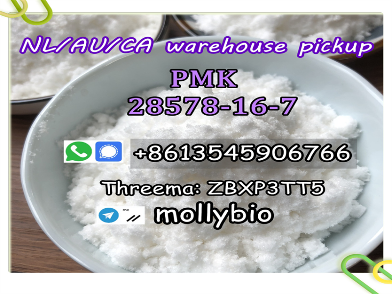 Holland Germany guarantee delivery BMK PMK powder Cas 28578-16-7/5449-12-7/459-03-0 Wickr: mollybio