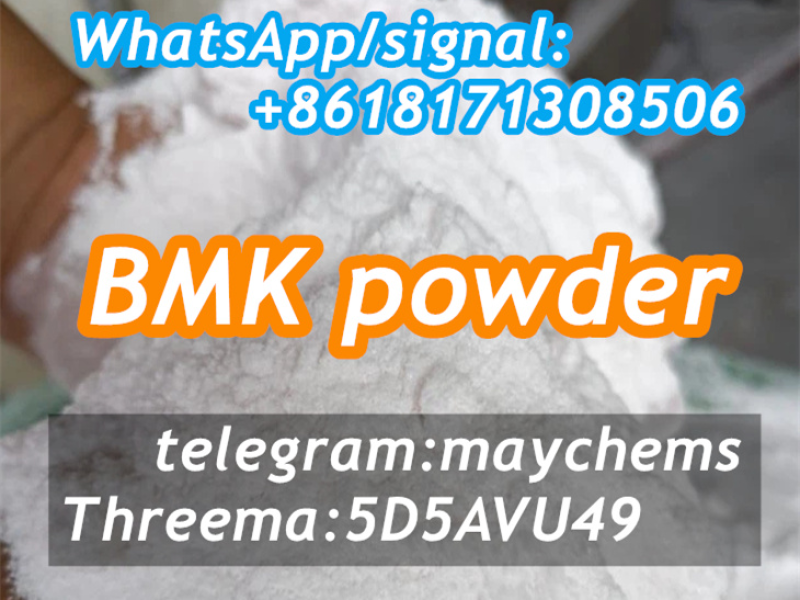 High Quality BMK Glycidic Acid (sodium salt) BMK Powder 5449-12-7