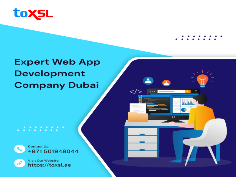 Leading Web App Development Services in Dubai | ToXSL Technologies