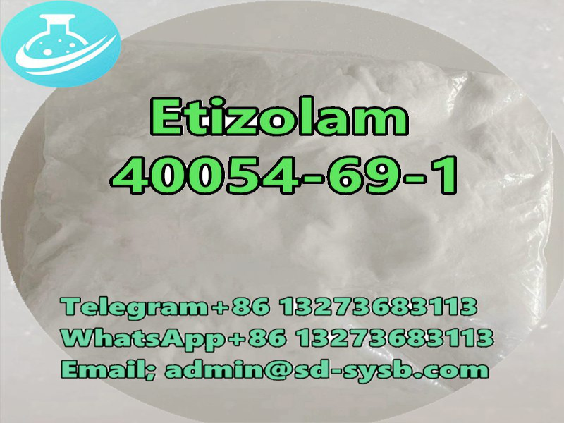 CAS 40054-69-1 Etizolam	Hot sale in Europe and America	D1