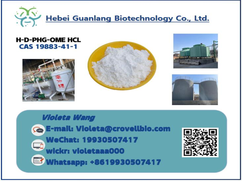 Factory Supply High Purity CAS 19883-41-1 H-D-PHG-OME HCL