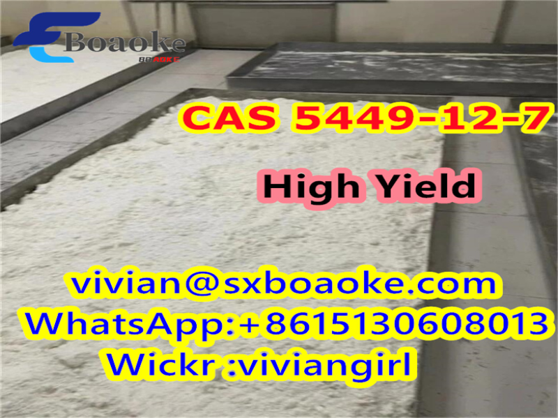 CAS 5449-12-7 Bmk powder BMK Glycidic Acid (sodium salt) Germany Holland Warehouse