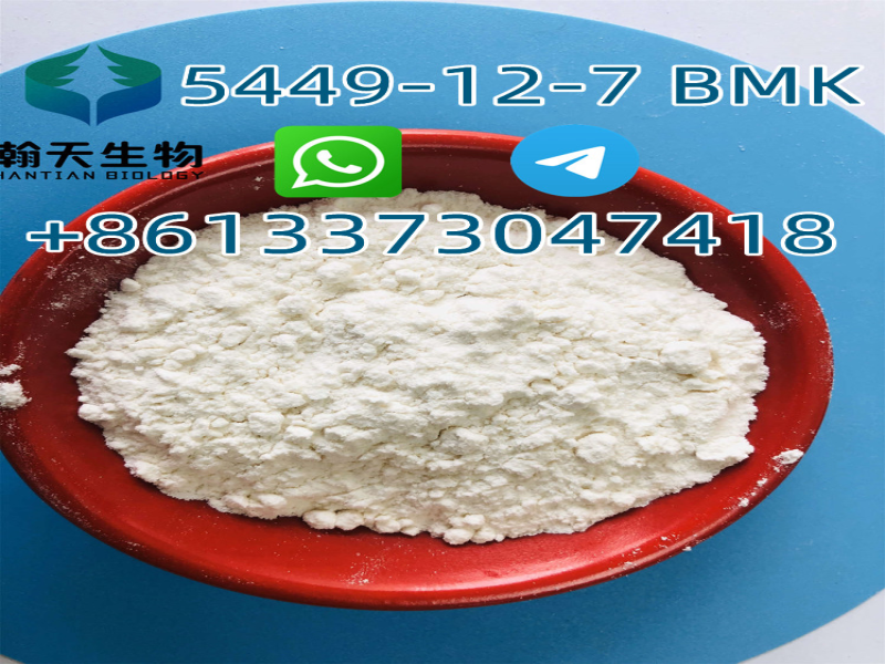 CAS:5449-12-7 BMK Glycidic Acid sodium salt 99% White Powder-